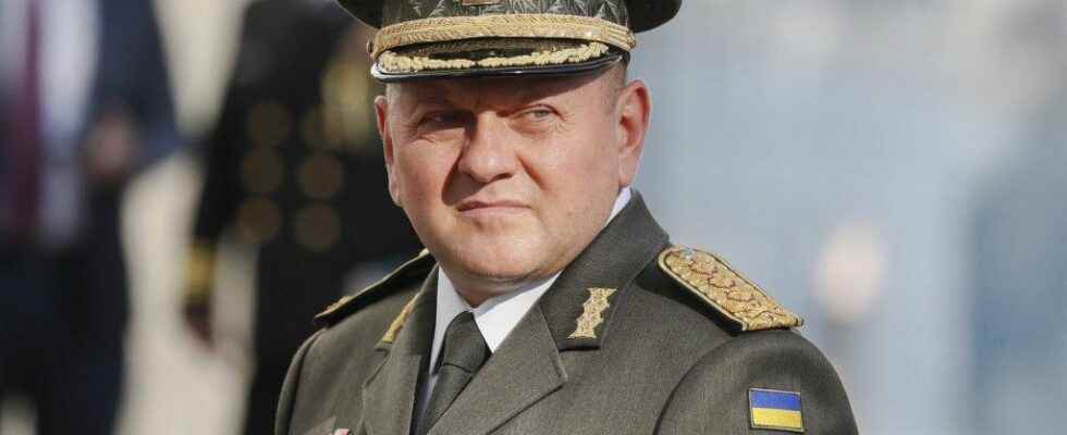 War in Ukraine Valeri Zaloujny the general who humiliated Putin