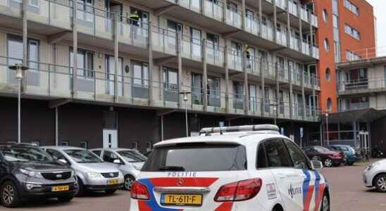 Woerdense who stabbed a neighbor with a knife had psychosis