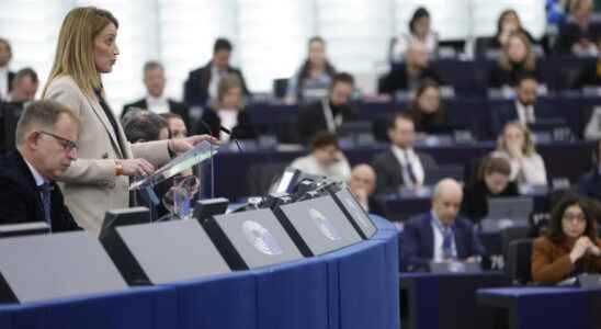 the European Parliament undertakes to fight against foreign interference