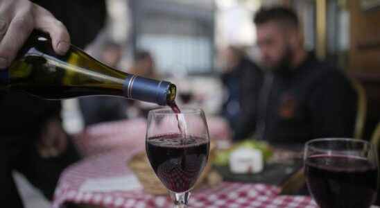 truths and untruths about wine and cancer