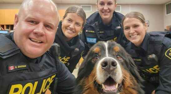 1676939975 Dog day at the Norfolk OPP detachment