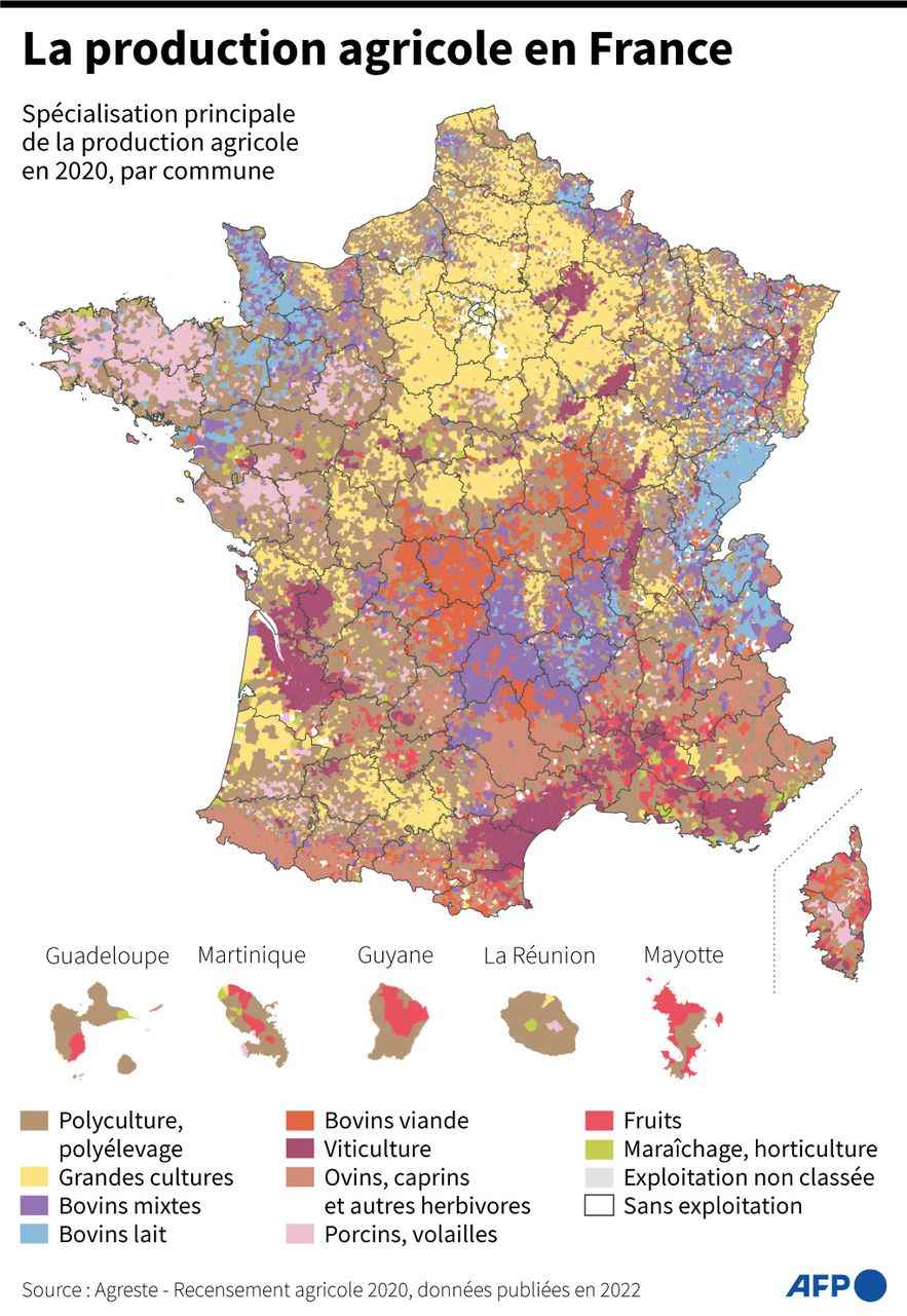 Agricultural production in France