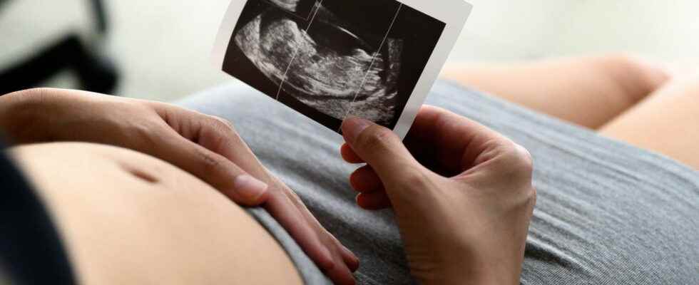 1st trimester of pregnancy follow up examinations precautions