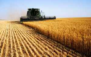 Agri food under pressure from changes in consumer spending and new