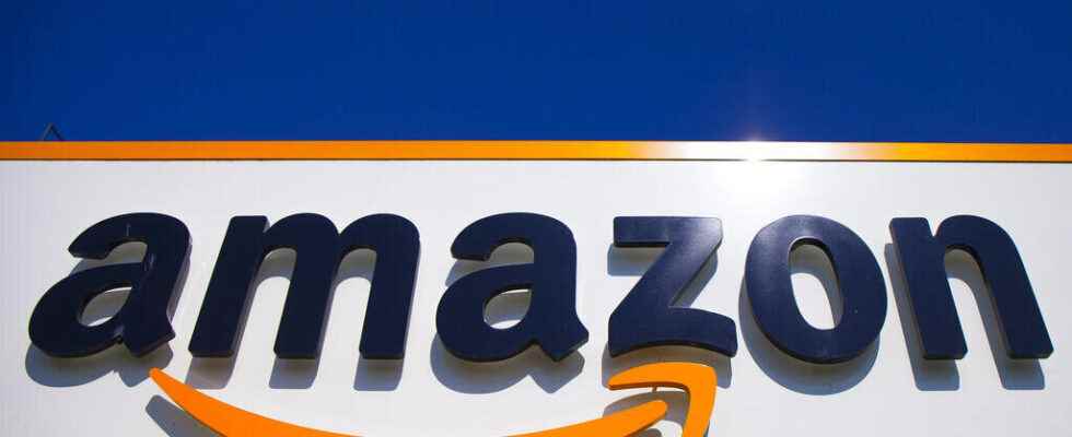 Amazon sentenced in Spain for employing 2166 false self employed