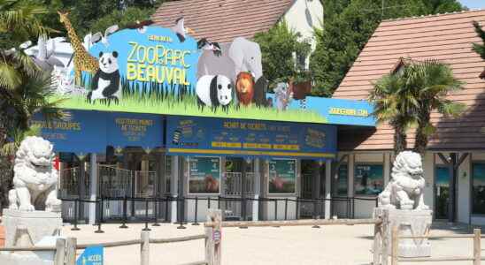 Beauval Zoo whats new