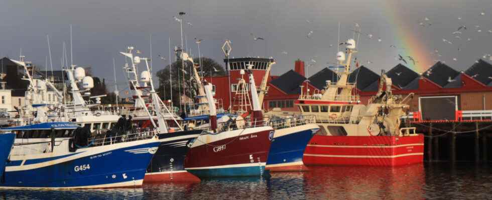 Brexit Irish fishermen demand new fishing quotas