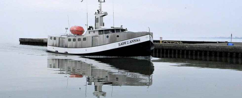 Commercial fishing services to move online