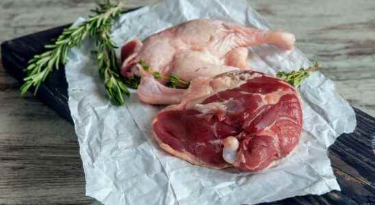 Duck Le Gaulois recalled throughout France for a risk of