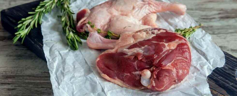 Duck Le Gaulois recalled throughout France for a risk of