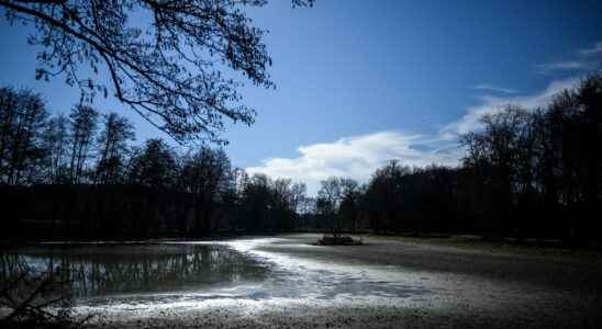 Historic drought in France unheard of in winter according to