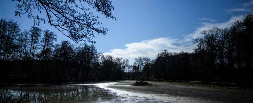 Historic drought in France unheard of in winter according to