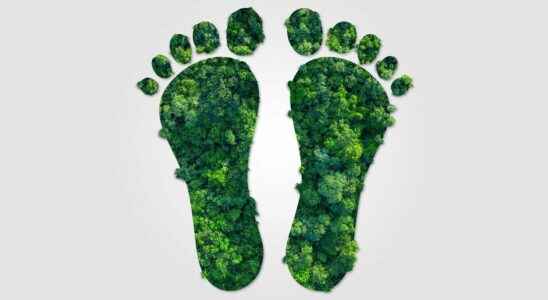 How can you reduce your annual carbon footprint by a