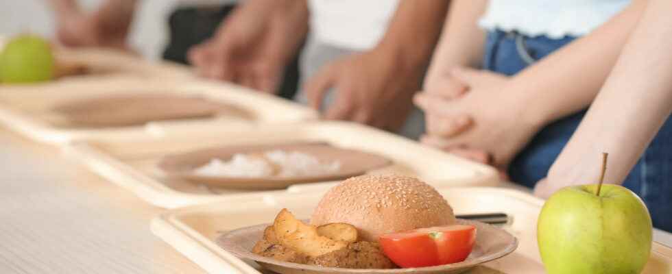 Meals at 1 euro which students can benefit from it