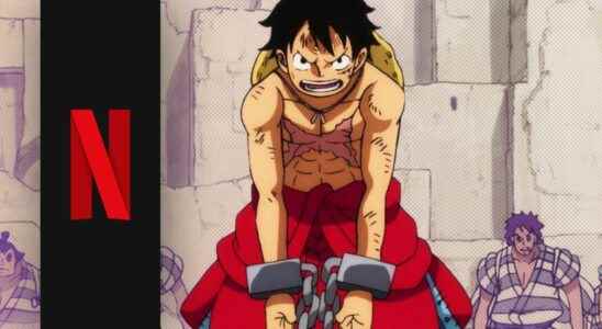 Netflix omits important anime detail in One Piece series