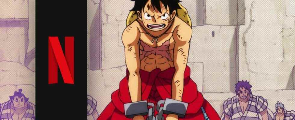 Netflix omits important anime detail in One Piece series