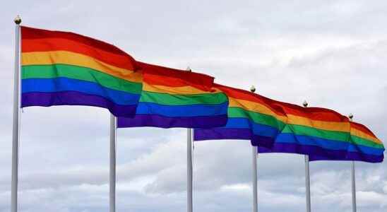 Nieuwegein joins reporting platform against LGBTQI discrimination We want to
