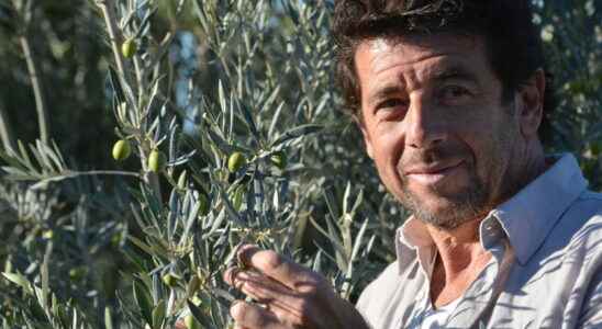 Patrick Bruel his new passion will change your beauty habits