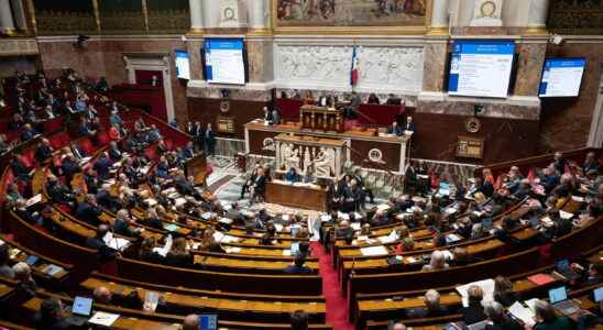 Pension reform in the National Assembly the strategies of the