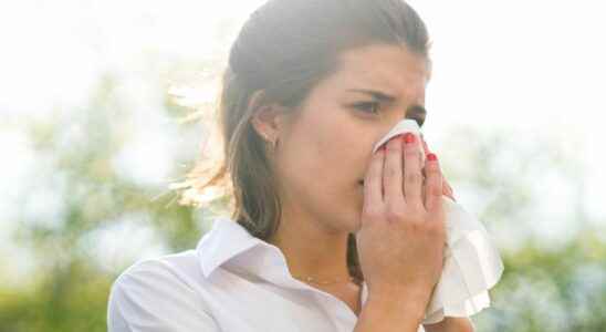 Pollen allergy Dinan hospital strikes back
