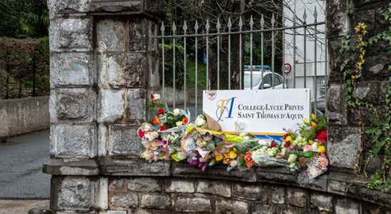 Professor killed in Saint Jean de Luz the teenager in detention