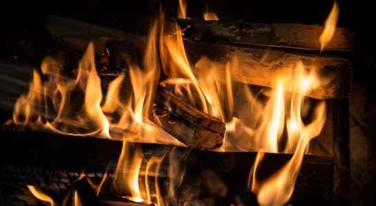 RIVM again advises not to burn wood due to air