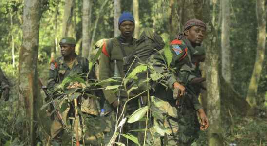 Rwanda accuses Congolese army of firing at one of its