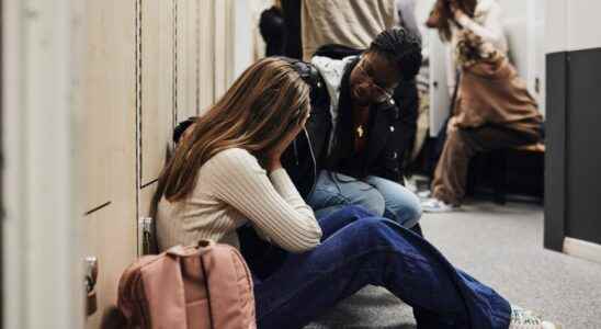 School bullying because of sexual orientation is the most harmful