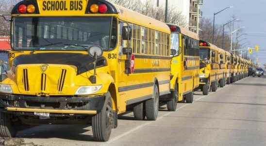 School buses canceled Friday in the Sarnia area
