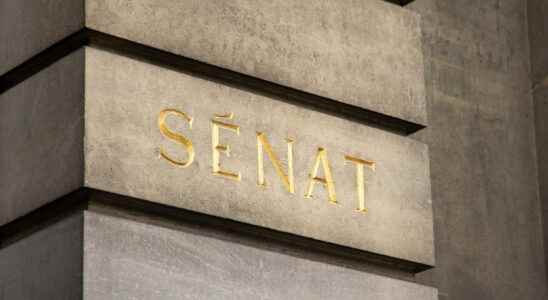 Special regimes senators deputies civil servants What effect with the