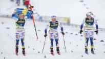 Swedens deafening dominance in World Cup skiing Krista Parmakoski