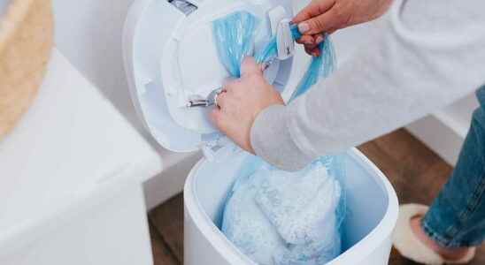 The brilliant trick to save on diaper bin refills