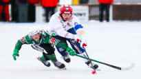The ice hockey associations disciplinary team rejected the demands of