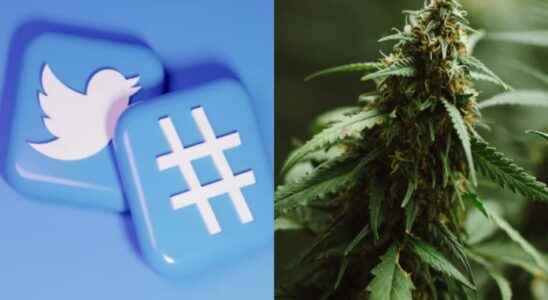 Twitter Now Allows Ads For Marijuana Companies