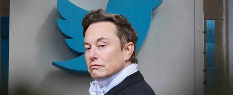 Twitter Struggles With A Spamming Bug With Elon Musk Tweets