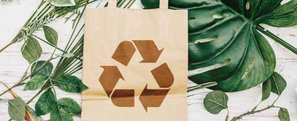 We will save money thanks to greener packaging