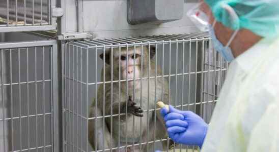 What future for animal experimentation In the secret of French