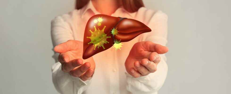 What is the new HCirV 1 virus that infects the liver