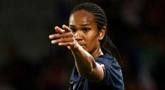 captain Wendie Renard withdraws from the France team