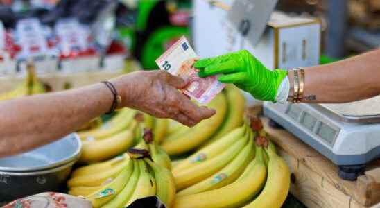 why the price of bananas will jump in March 2023